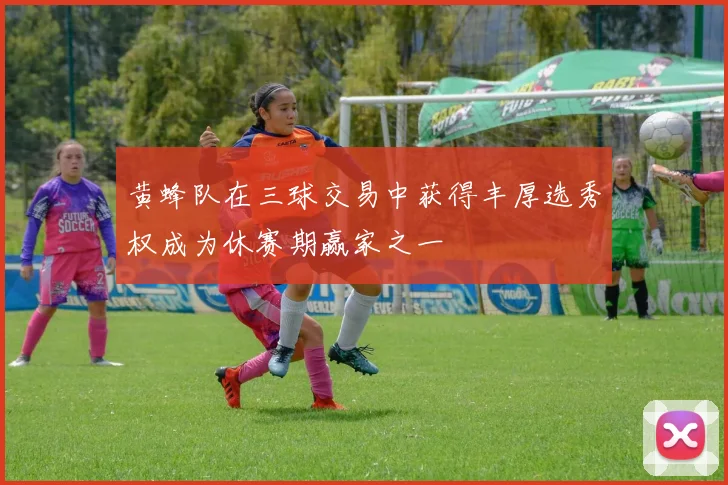 黄蜂队在三球交易中获得丰厚选秀权成为休赛期赢家之一